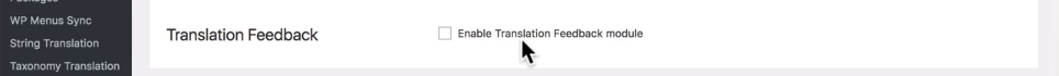 How to Build a Multilingual Website in WordPress - Translation Feedback in WPML