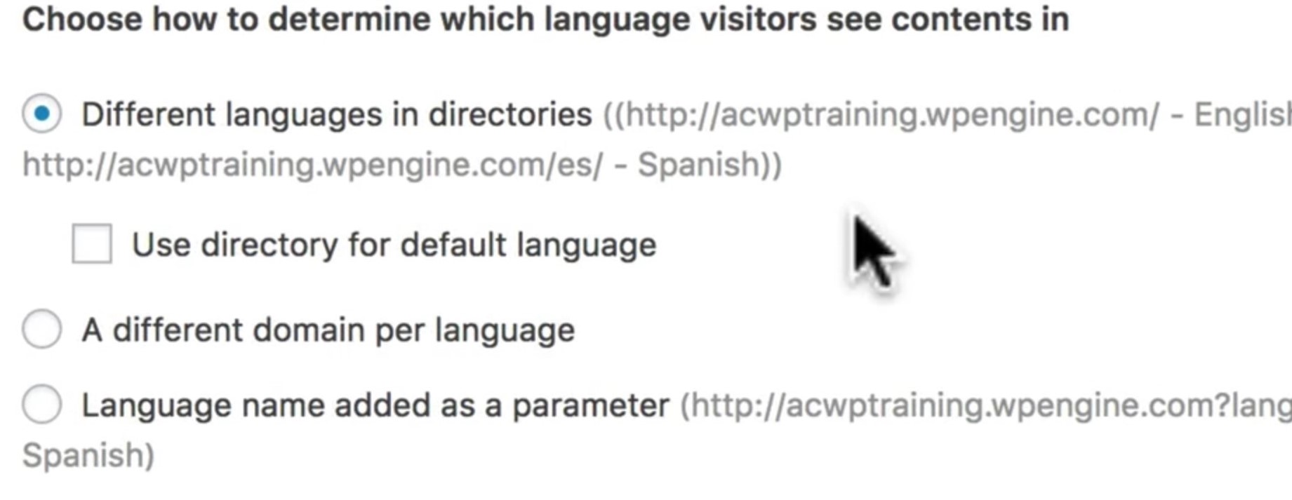 How to Build a Multilingual Website in WordPress - WPML - Language Directories