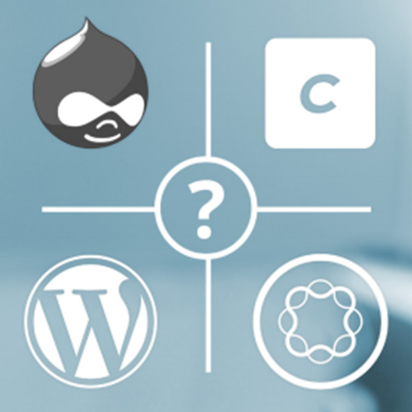 How to Launch & Manage a Multilingual Website—Step 4 Pick the Right CMS Platform for Your Needs