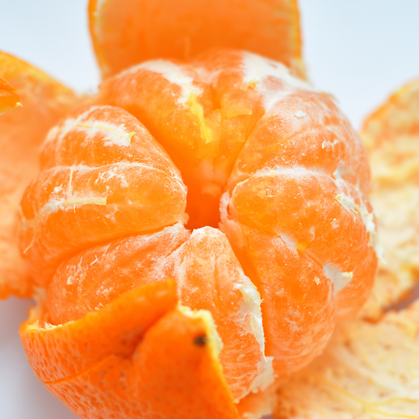 Managing Translation with Segmentation Rules
