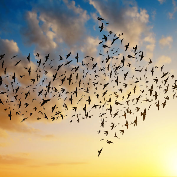 “Under the Hood” with Bill Lafferty: Translation Memory Migration