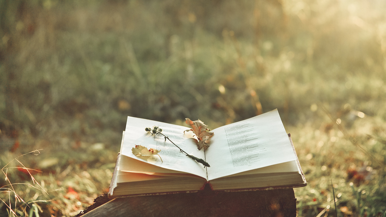 From abecedarian to zuhdiyyah poetry around the globe Acclaro